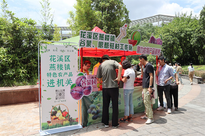 花溪區燕樓鎮谷蒙村 駐村工作隊變身“推銷員”，打通農產品銷售最后一公里